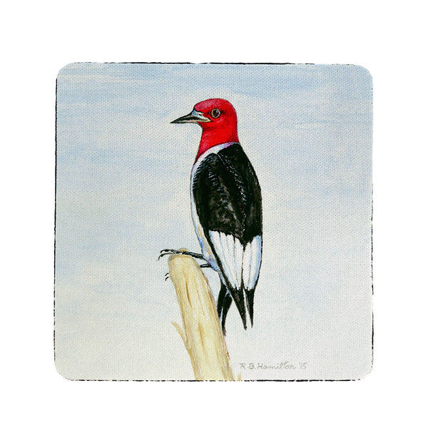 Redheaded Woodpecker Coaster Set of 4