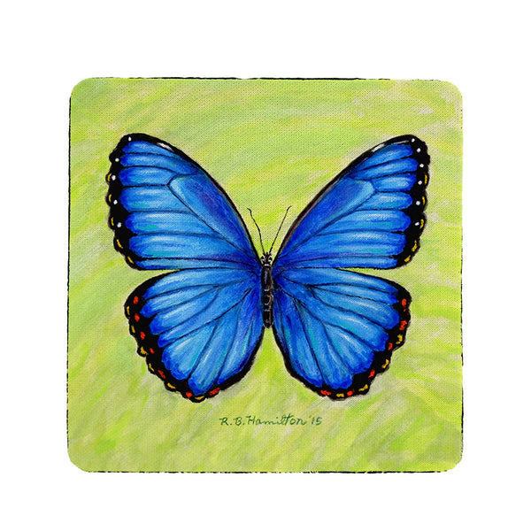Dick's Blue Morpho Coaster Set of 4