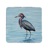 Dick's Little Blue Heron Coaster Set of 4