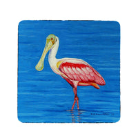 Dick's Spoonbill Coaster Set of 4
