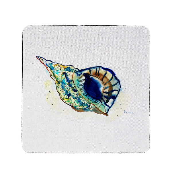 Betsy's Shell Coaster Set of 4