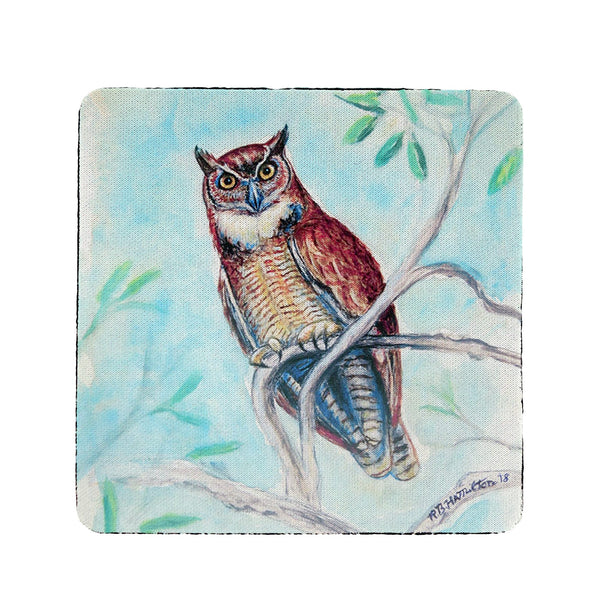 Owl in Teal Coaster Set of 4