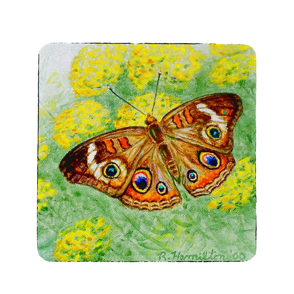 Buckeye Butterfly Coaster Set of 4