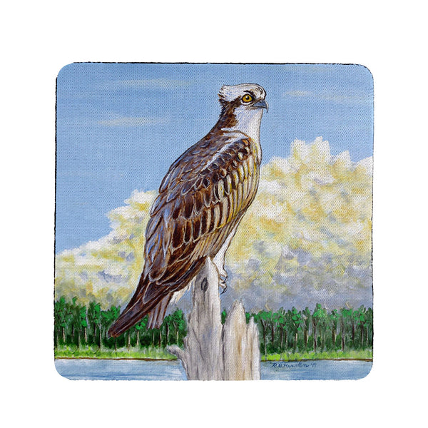 Osprey Overlook Coaster Set of 4