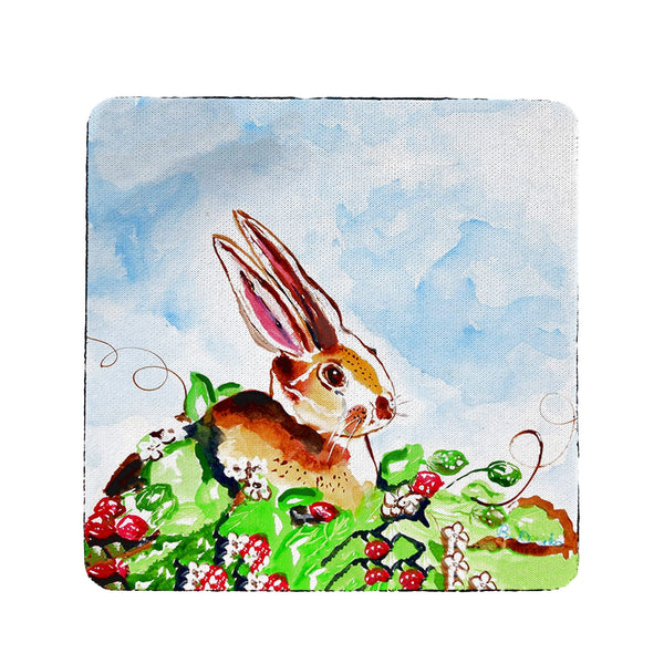 Jack Rabbit Right  Coaster Set of 4