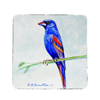 Blue Grosebeak  Coaster Set of 4