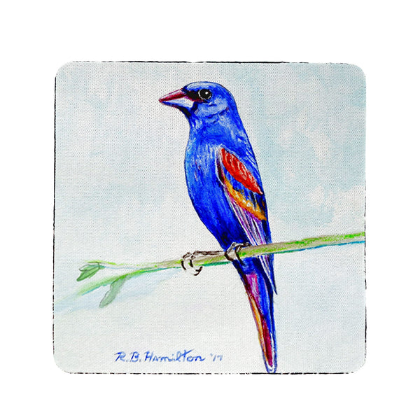 Blue Grosebeak  Coaster Set of 4