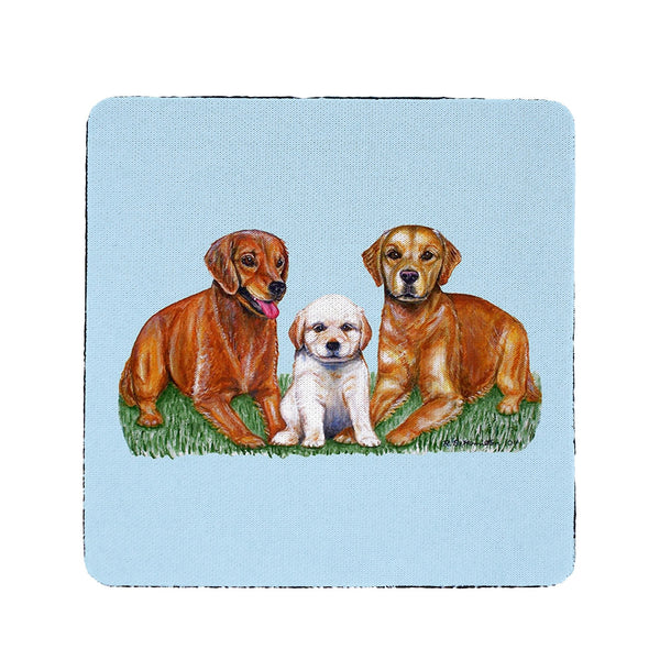 Golden Retrievers Coaster Set of 4