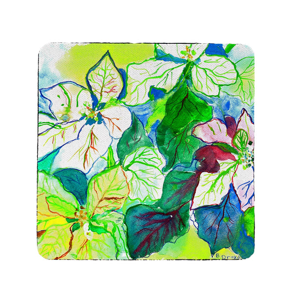 White Poinsettia Coaster Set of 4