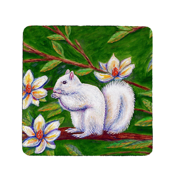 White Squirrel Coaster Set of 4