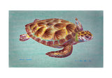 Green Sea Turtle - Teal Door Mat