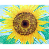 Dick's Sunflower Door Mat