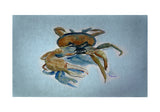 Fiddler Crab Door Mat