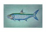 Tarpon Door Mat