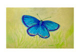 Blue Azure Butterfly Door Mat