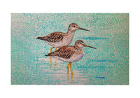 Yellow Legs Sandpipers Door Mat