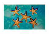 Many Starfish Door Mat