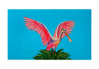 Spoonbill Wings Door Mat