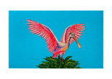Spoonbill Wings Door Mat