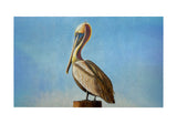 Pelican on Post Door Mat