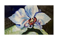 White Orchid Door Mat