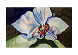 White Orchid Door Mat
