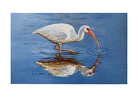 Ibis Looking Door Mat