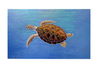 Sea Turtle In Aqua Door Mat
