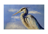 Blue Heron Portrait Door Mat
