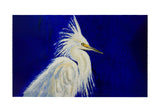 Egret Bad Hair Day Door Mat