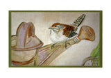 Carolina Wren Door Mat