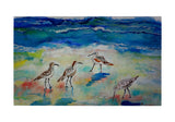 Betsy's Sandpipers Door Mat
