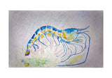 Blue Shrimp Door Mat