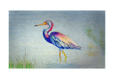 Tri-Colored Heron Door Mat
