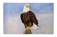 American Eagle Dornier Rug
