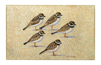 Five Sandpipers Dornier Rug