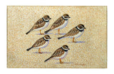 Five Sandpipers Dornier Rug