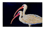 Two Ibis Dornier Rug