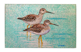 Yellow Legs Sandpipers Dornier Rug