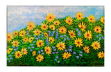 Many Sunflowers Dornier Rug
