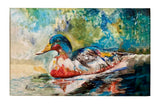 Colorful Duck Dornier Rug