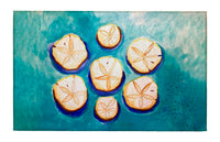 Many Sand Dollars Dornier Rug
