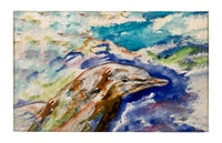 Dolphin Portrait Dornier Rug