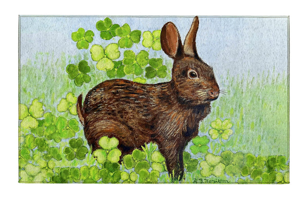 Rabbit and Shamrocks Indoor Dornier Area Rug 20x32