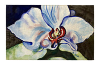 White Orchid Indoor Dornier Area Rug 20x32