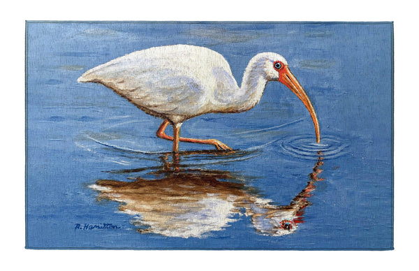 Ibis Looking Indoor Dornier Area Rug 20x32