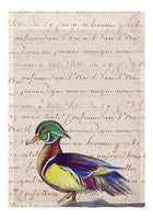 Male Wood Duck Script Garden Flag 12.5x18