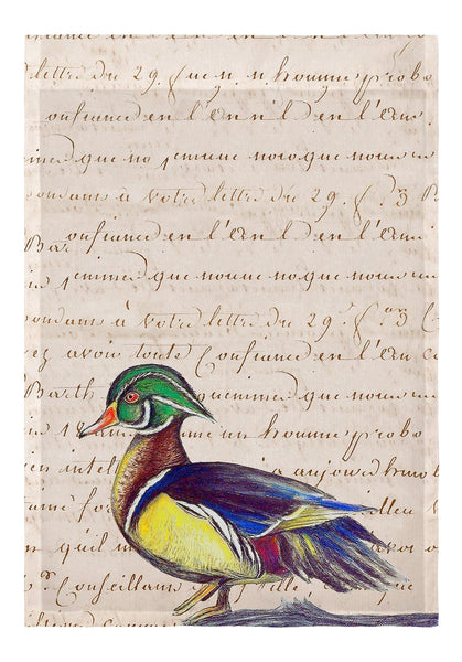 Male Wood Duck Script Garden Flag 12.5x18