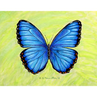 Dick's Blue Morpho Garden Flag 12.5x18