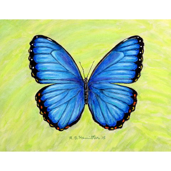 Dick's Blue Morpho Garden Flag 12.5x18